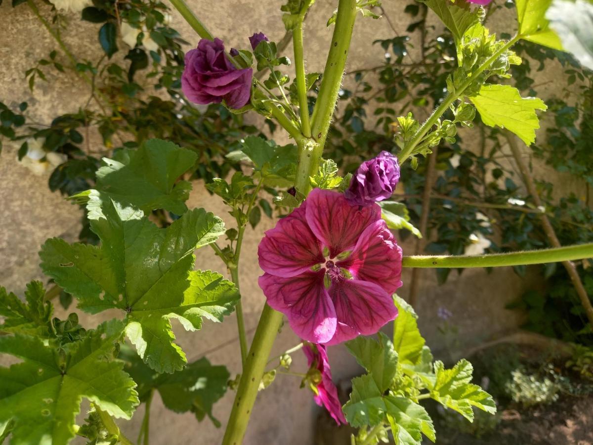 Maison Violette En Berry Aigurande Εξωτερικό φωτογραφία